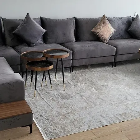 Luxurious Furnished 2 Bedroom At Avrupark Hayat شقة